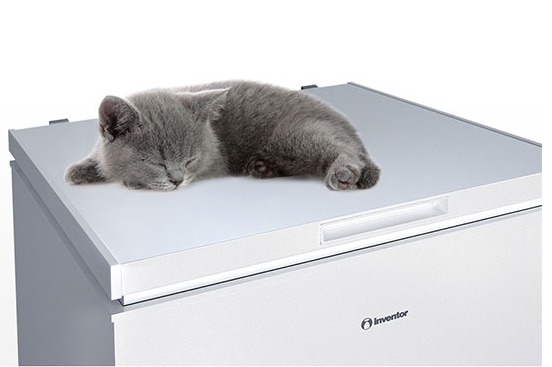 Hisense RB406N4AC2