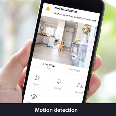 Motion Detection