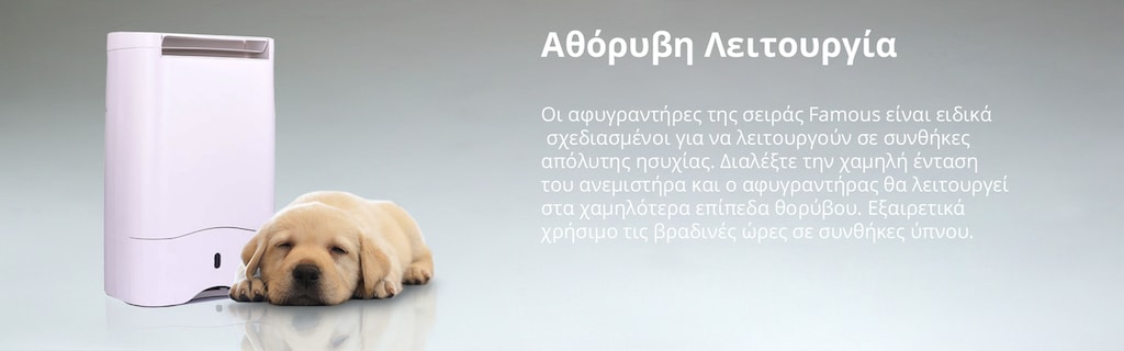 αθόρυβη-λειτουργία